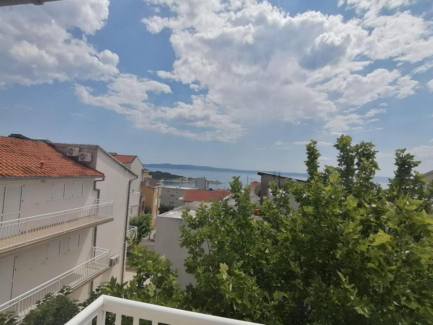 Platanus Makarska